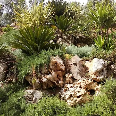 酒店 Hostal Nicol's 3*