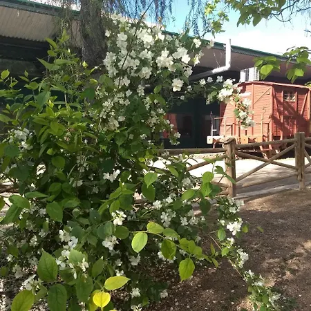 Hostal Nicol's 卢克