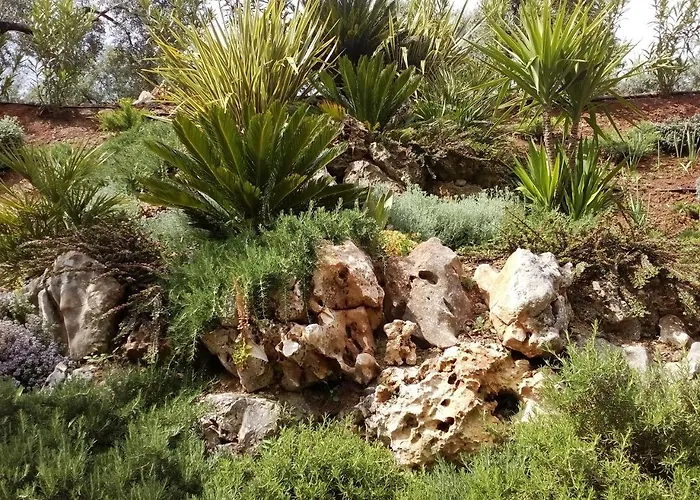 Hotel Hostal Nicol's 3*